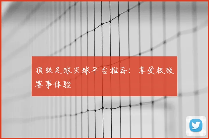 顶级足球买球平台推荐：享受极致赛事体验