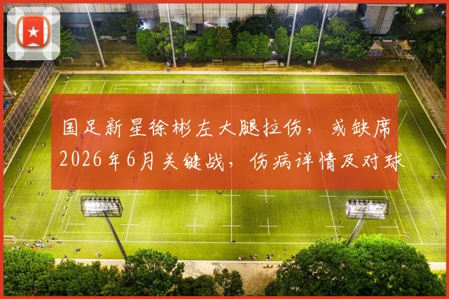 国足新星徐彬左大腿拉伤,或缺席2026年6月关键战,伤病详情及对球队影响分析