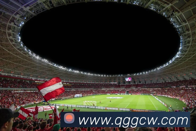 互动解说服务